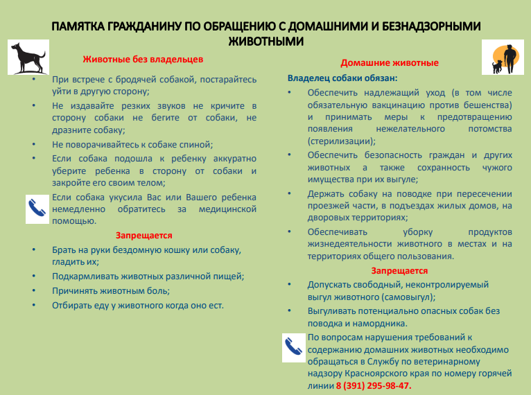 Памятка гражданину по обращению с безнадзорными животными.