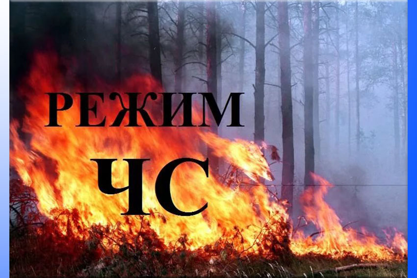 Правительством Красноярского края было принято постановление от 27.07.2023 № 614-п «О введение режима чрезвычайной ситуации в лесах Красноярского края», подписанное и. о. председателя Правительства края С.В. Верещагиным..