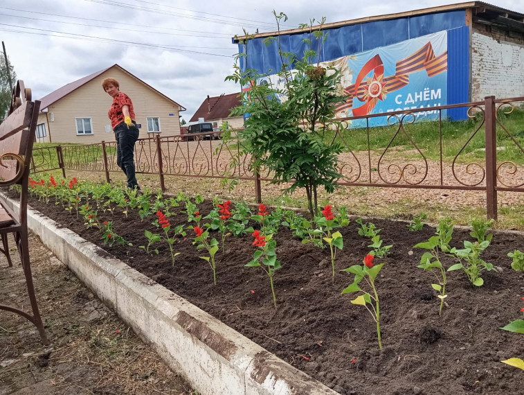 Посадили мы цветы небывалой красоты.... Посадили мы цветы небывалой красоты....