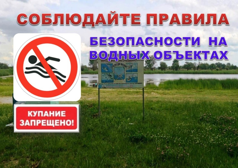 Информация о правилах обеспечения безопасности в местах массового отдыха на водных объектах.. Информация о правилах обеспечения безопасности в местах массового отдыха на водных объектах..